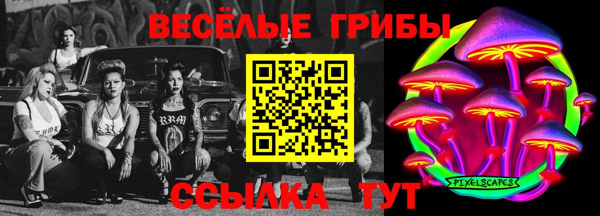 дарнет шоп  Вход с VPN  Асино  Галлюциногенные грибы мицелий 